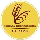 Kubolaj International SA de CV