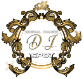 D.J.SPOT LLC