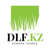   DLF KZ