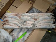 Сельдь НР 400-500 ЭЛЬБРУС (2*10кг) 230 р. с ндс