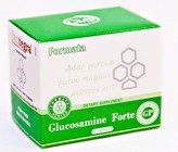 Glucosamine Forte - источник глюкозамина. Компания Сантегра (Santegra). США.