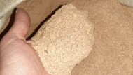 Wheat bran FOB Russia