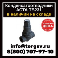 Конденсатоотводчики биметаллические АСТА ТЕРМОКОН ТБ231 Dn 1/2" Pn 16 р/р