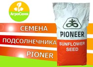 Гибриды семян подсолнечника П64ге118 (Экспресс)